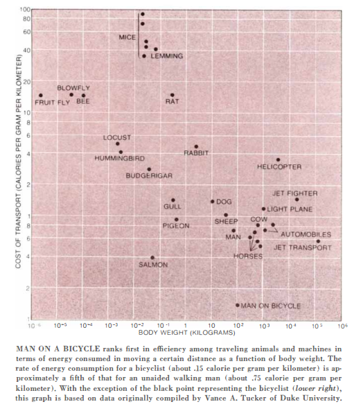 &ldquo;Chart from Scientific American, 1973&rdquo;